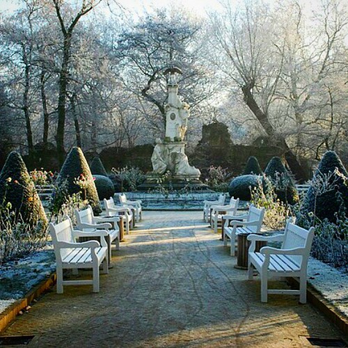 #artis #zoo #amsterdam #winter #christmas